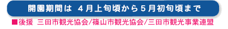 開園期間は 4月中旬頃から5月中旬頃まで