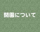 開花状況について